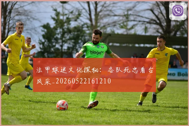法甲球迷文化探秘：各队死忠看台风采_20260522161210