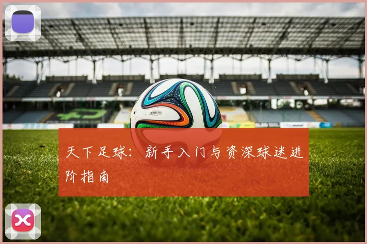天下足球：新手入门与资深球迷进阶指南